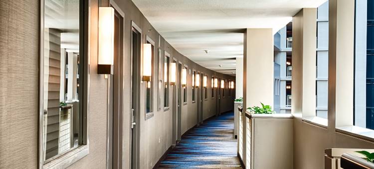 亚特兰大希尔顿大使套房酒店-百年奥林匹克公园(Embassy Suites by Hilton Atlanta at Centennial Olympic Park)图片