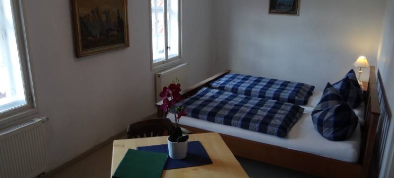 西辛斯霍夫酒店(Landgasthaus Zum Seysingshof)图片