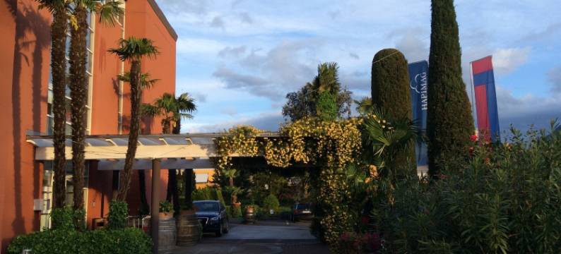 阿斯科纳哈皮玛格度假公寓(Hapimag Resort Ascona)图片