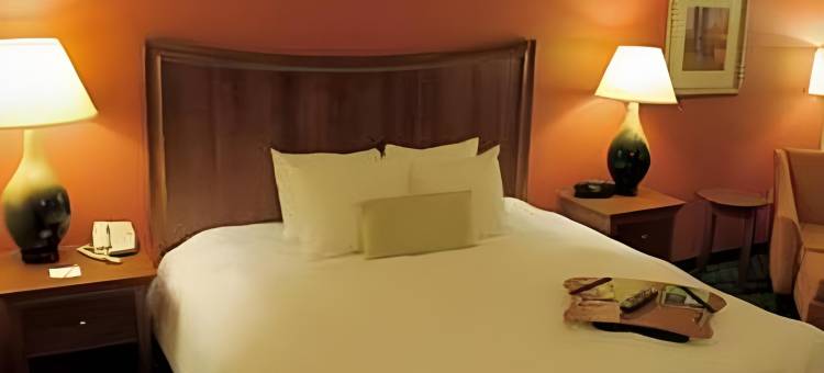奥尔巴尼机场欢朋套房酒店(Hampton Inn & Suites Albany-Airport)图片