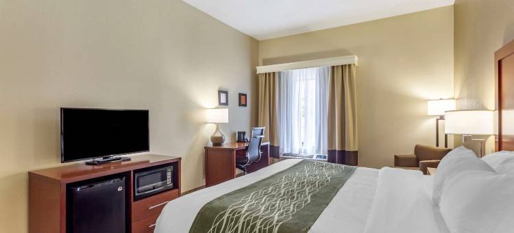 舒适套房酒店(Comfort Inn & Suites)图片