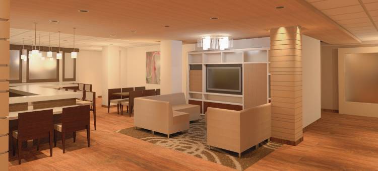 亚历山德里亚凯雷假日酒店(Holiday Inn Alexandria - Carlyle)图片