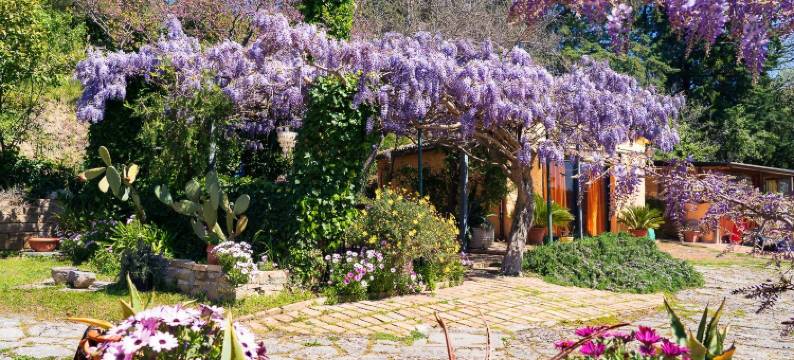 格里欣住宿加早餐旅馆(B&B Glicine)图片