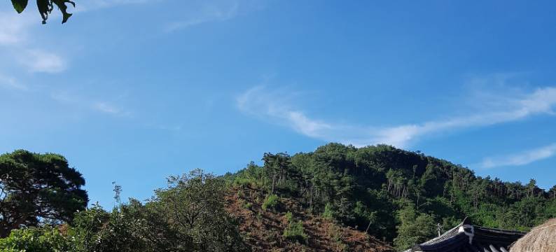 竹轩传统之家(Jukheon Traditional House)图片