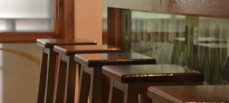 阿西维瓦尔达兰Spa酒店(Hotel Spa Acevi Val D’Aran)图片