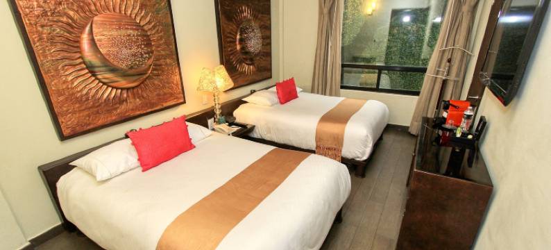 画廊广场精品酒店(Plaza Gallery Hotel Boutique)图片