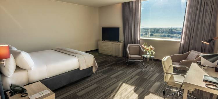 奇廉 MDS 酒店(Mds Hotel Chillan)图片