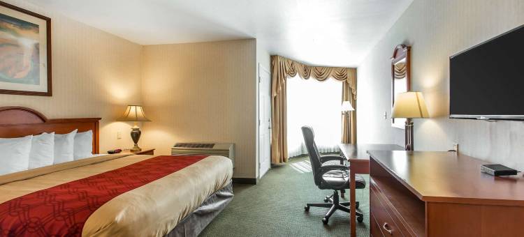 里布-科罗纳伊克诺套房酒店(Econo Lodge Inn & Suites Riverside - Corona)图片