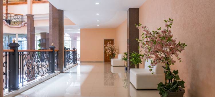 阿瓜斯卡连特斯瑞里商场酒店(Hotel Real Plaza Aguascalientes)图片