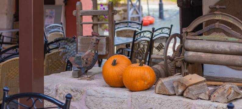 希尔施高登纳酒店(Hotel Goldener Hirsch)图片