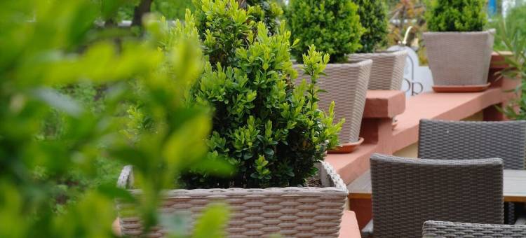 莫塞尔托精品酒店(Boutique-Hotel Moseltor)图片