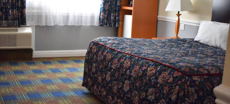 东诺维奇旅馆(East Norwich Inn)图片