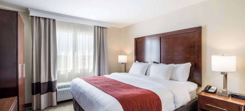 堪萨斯城-邦纳斯普林斯舒适酒店(Comfort Inn Bonner Springs Kansas City)图片