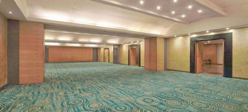 金奈OMR 丽亭酒店(Park Plaza Chennai OMR)图片