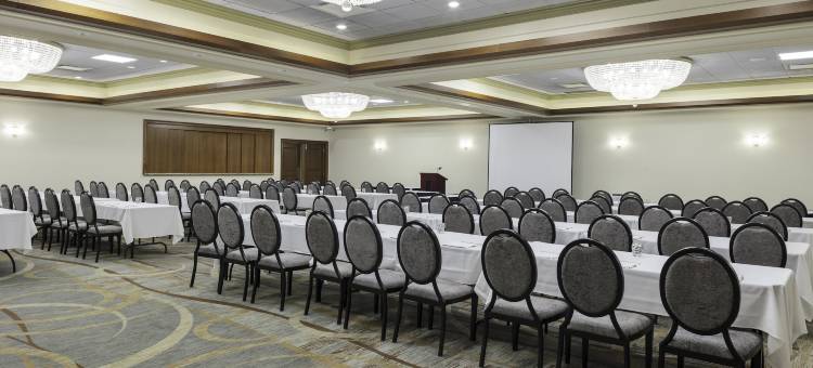 洲际酒店集团旗下芝加哥西南康提赛德假日酒店会议中心(Holiday Inn Chicago SW-Countryside Confctr)图片