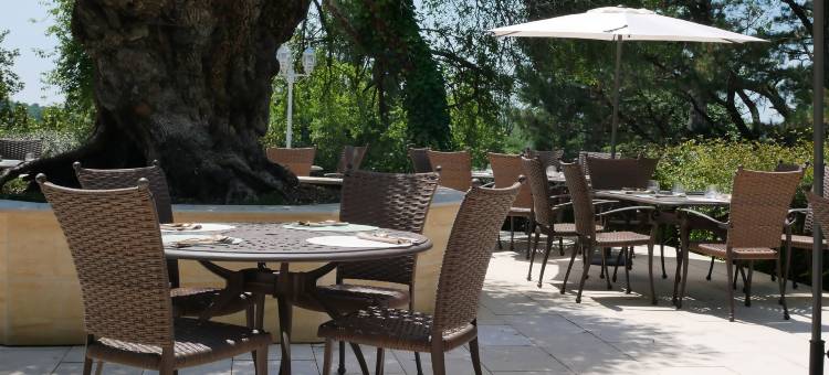 卡米亚克城堡(Chateau Camiac)图片