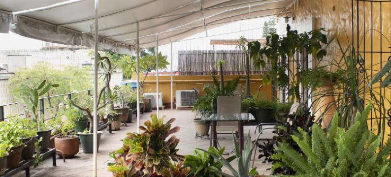 卡特里娜民宿(Hotel Boutique Casa Catrina)图片