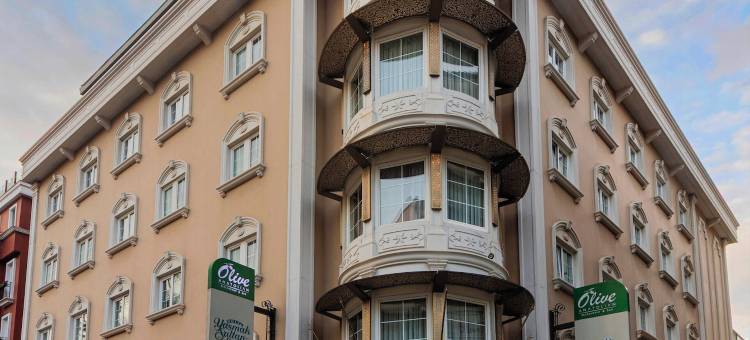亚斯马克苏丹酒店(Hotel Yasmak Sultan)图片