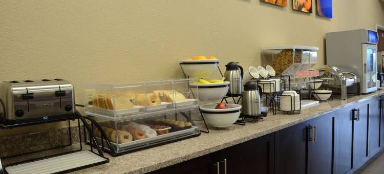 舒适套房酒店(Comfort Inn & Suites)图片