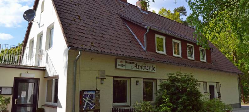 安姆毕恩特旅馆(Heidepension Ambiente)图片