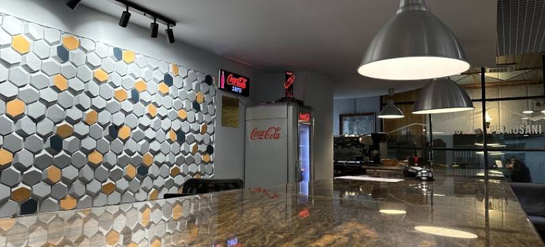 佩特罗沙尼出租房 - Hotel Petroshani srl(Petrosani Camere de Inchiriat - Hotel Petroshani Srl)图片