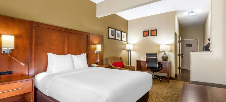 罗利核桃溪舒适套房酒店(Comfort Suites Raleigh Walnut Creek)图片