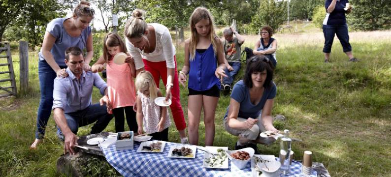 科洛青年旅舍(Korrö Vandrarhem)图片