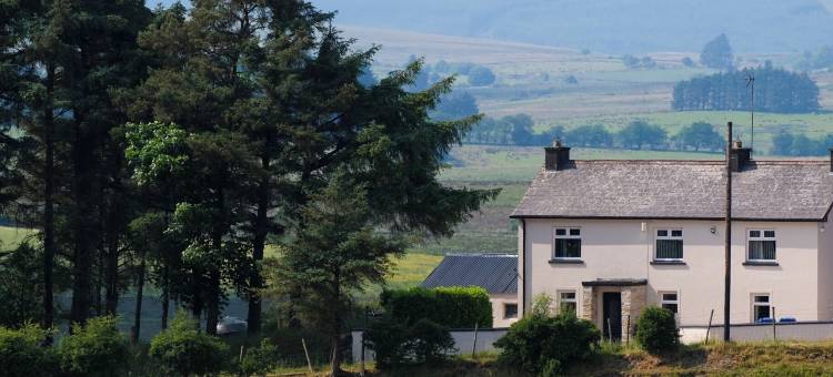 彼得的农舍(Peter's Farmhouse)图片