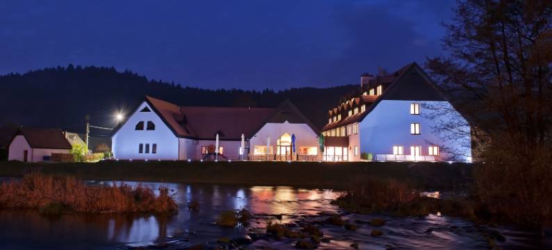 维尔酒店(Hotel Vír)图片