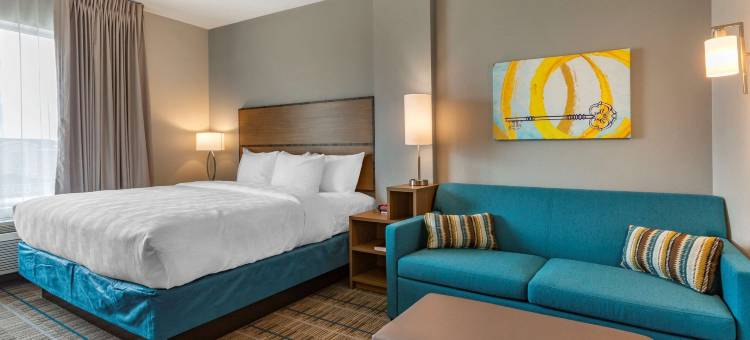 梅恩斯特套房酒店卡尔斯巴德南部(MainStay Suites Carlsbad South)图片