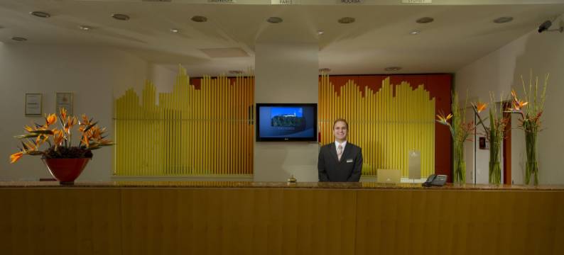 卢布尔雅那城市酒店(City Hotel Ljubljana)图片