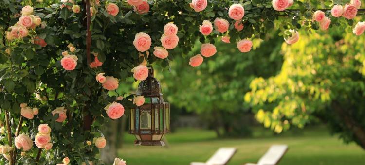 阿娜伊斯住宅酒店(La Maison d'Anais)图片