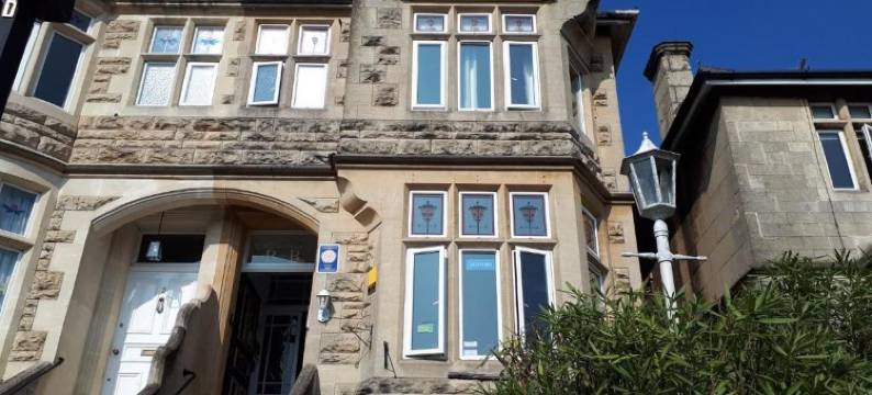 OYO 3号(OYO No. 3)图片