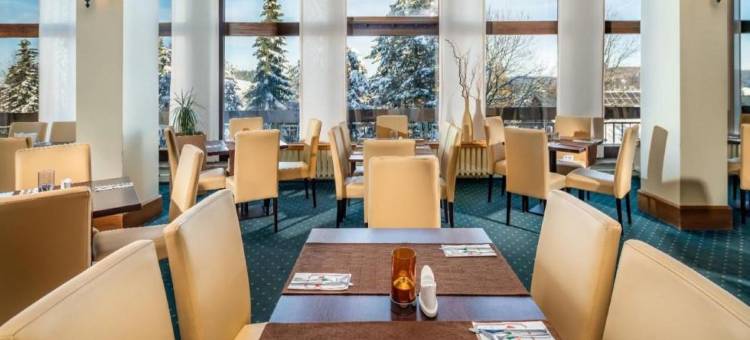 阿尔滕堡枫叶沃德酒店(Ahorn Waldhotel Altenberg)图片