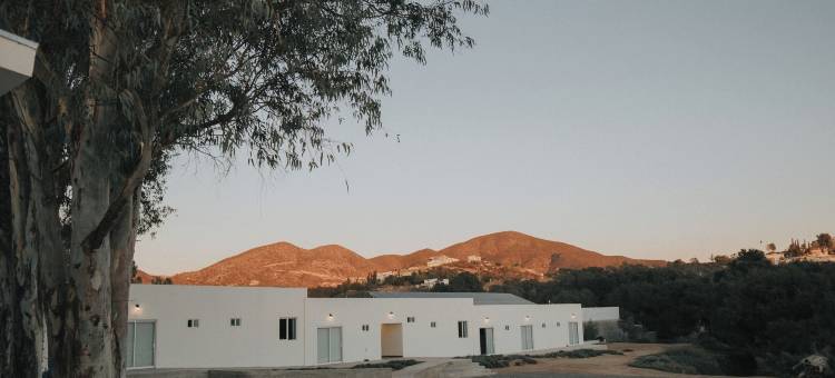 卡萨扎莫拉(Casa Zamora)图片