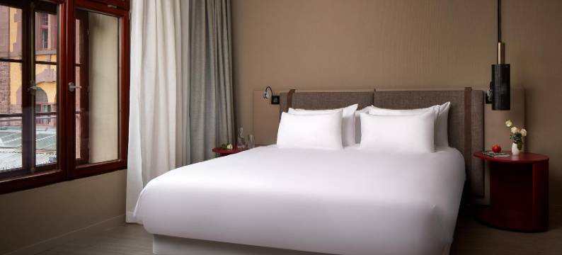 海德堡 NH 精选酒店(NH Collection Heidelberg)图片