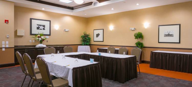 莱克兰希尔顿花园酒店(Hilton Garden Inn Lakeland)图片