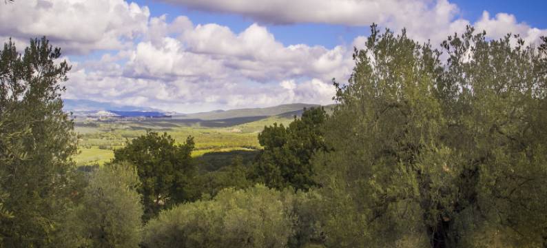 Pet-Friendly Getaway, Castagneto Carducci图片