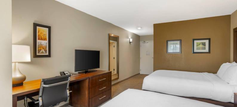 舒适套房酒店阿米什乡村(Comfort Inn & Suites Amish Country)图片