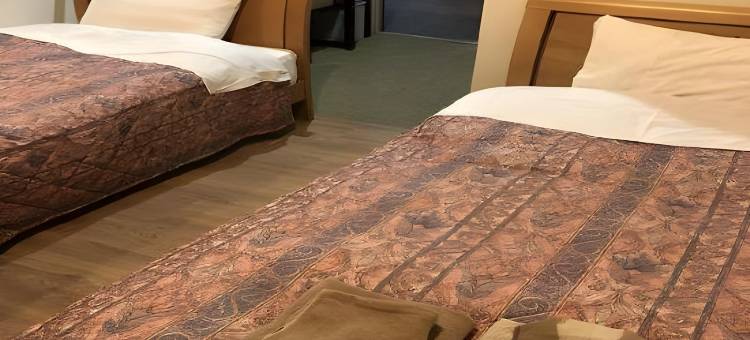 土浦神立山丘酒店(BBH酒店集团)(Hotel Tsuchiura Kandatsu Hills)图片
