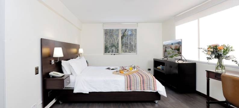 内鲁达快捷酒店(MR Express (ex Hotel Neruda Express))图片