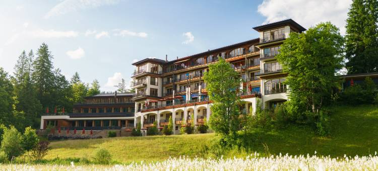 爱尔茂城堡酒店(Schloss Elmau Luxury Spa Retreat & Cultural Hideaway)图片