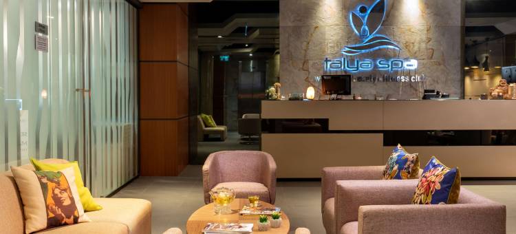 伊斯坦布尔亚洲丽笙酒店(Radisson Blu Hotel Istanbul Asia)图片
