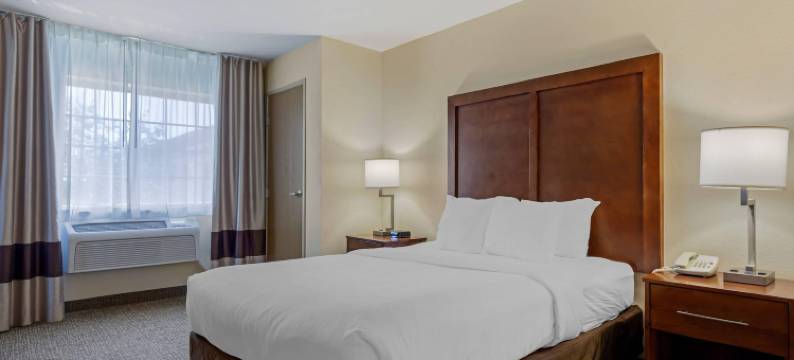 约翰逊河会议中心舒适套房酒店(Comfort Suites Johnson Creek Conference Center)图片