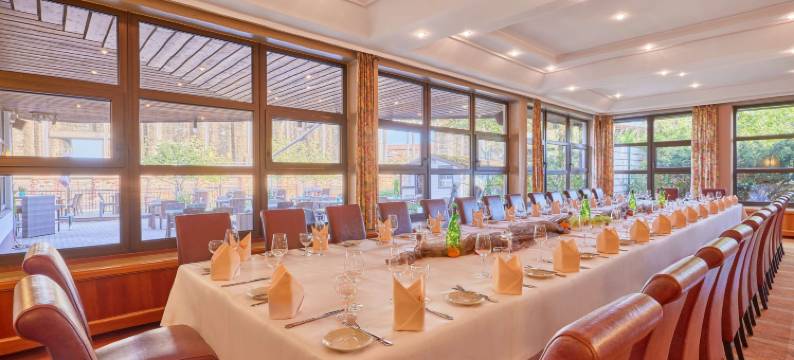 美居巴特迪克海姆酒店(Mercure Hotel Bad Duerkheim An Den Salinen)图片