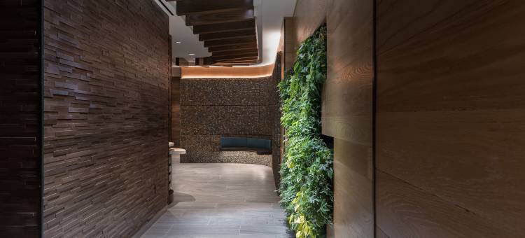 纽约城东逸衡酒店(Even Hotel New York - Midtown East)图片