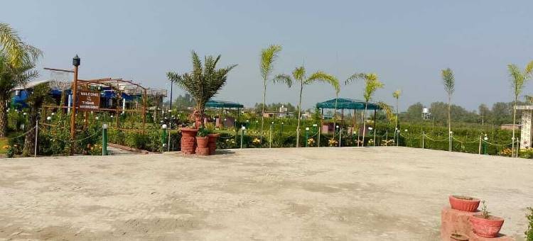 老虎滨水度假村(The Tiger Waterfront Resort)图片