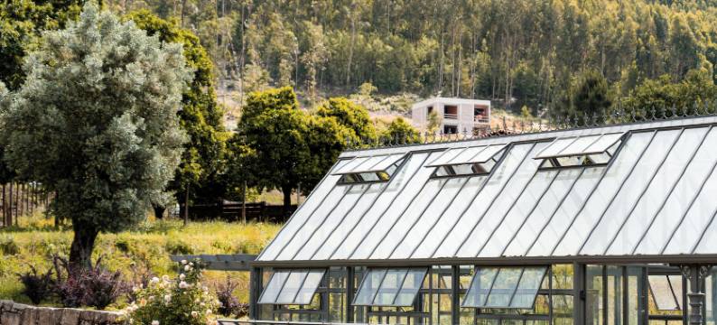 Vinte-Quinta Boavista图片