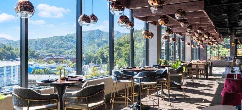 加德林堡市中心英迪格酒店(洲际酒店集团)(Hotel Indigo Gatlinburg Downtown by IHG)图片