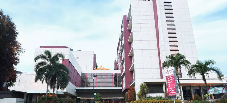 阿玛利亚南榜酒店(Amalia Hotel Lampung)图片